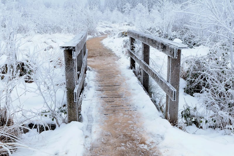 Imaginary Pathways