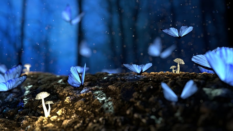 Mystical Garden
